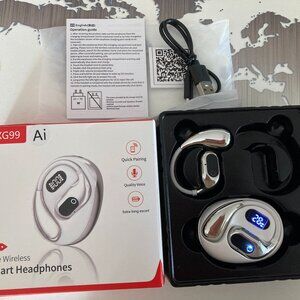 NWOT Translation Earbuds w/ Translation Capability, Earbuds, AI translator